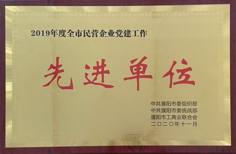 6 民營企業(yè)黨建工作先進單位2020.11.jpg